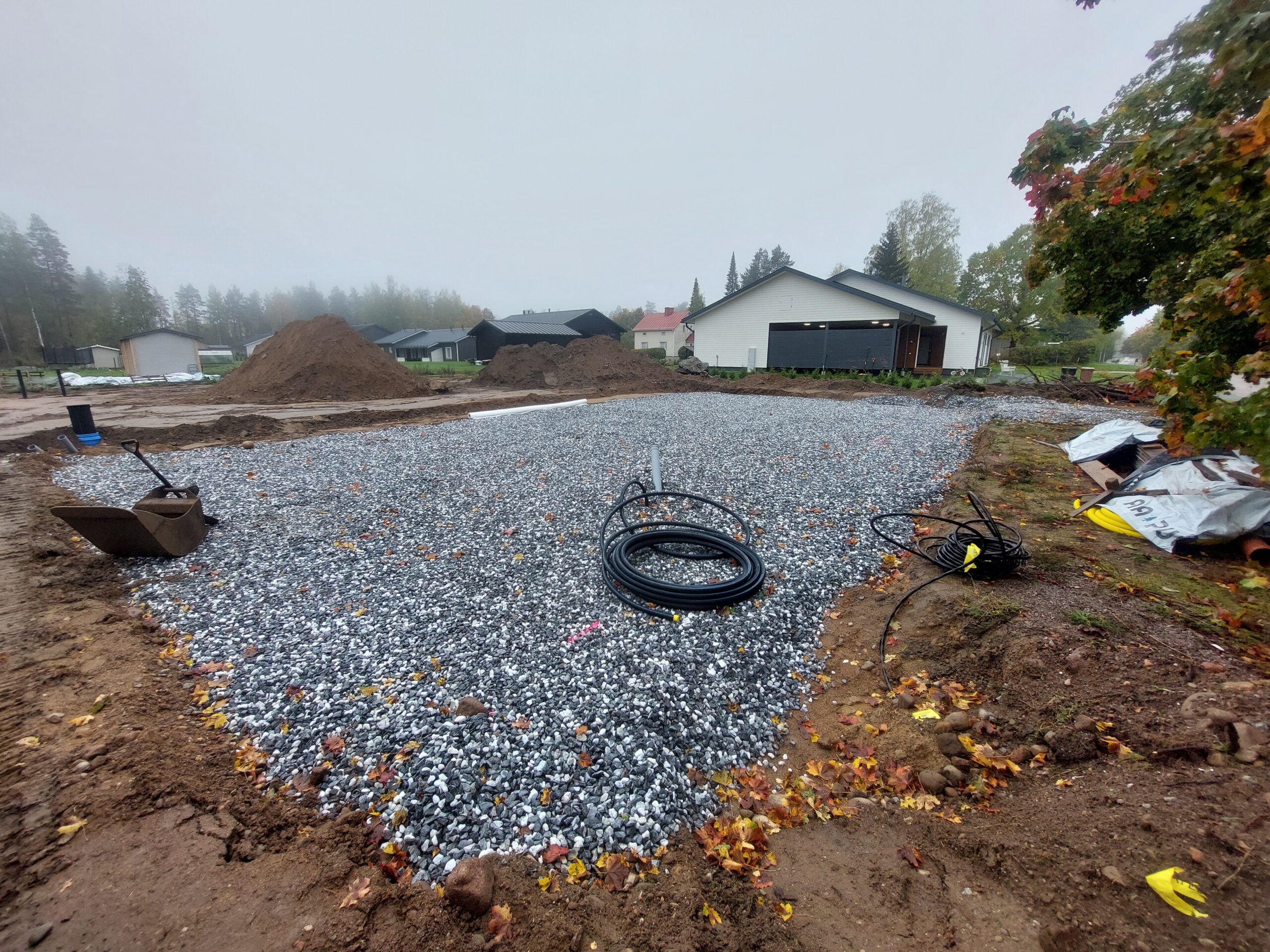 Kapilaari levitetty 2024