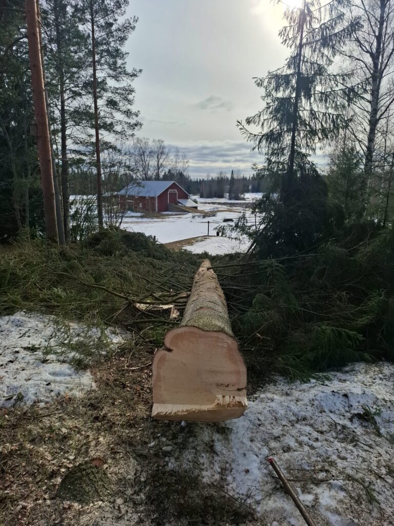 WhatsApp-Kuva 2025-03-31 klo 22.30.51_945cca7e